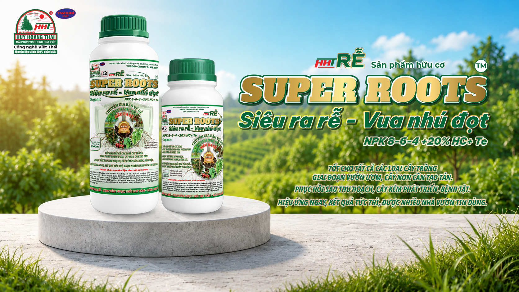 BANNER WEB HHT ROOTS